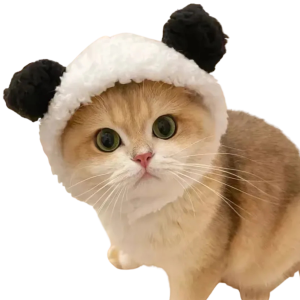 CHAPEAU KAWAII POUR ANIMAUX