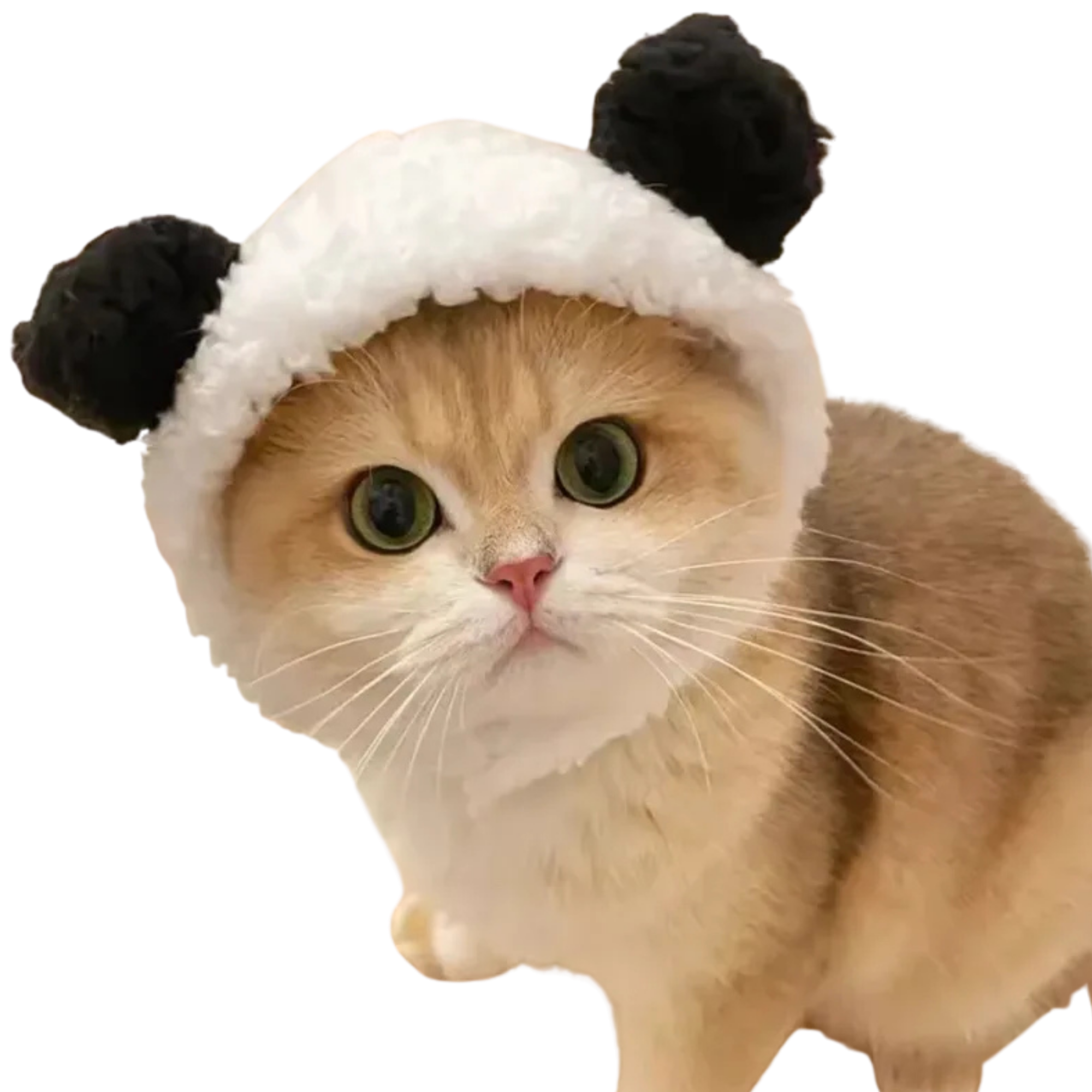 CHAPEAU KAWAII POUR ANIMAUX