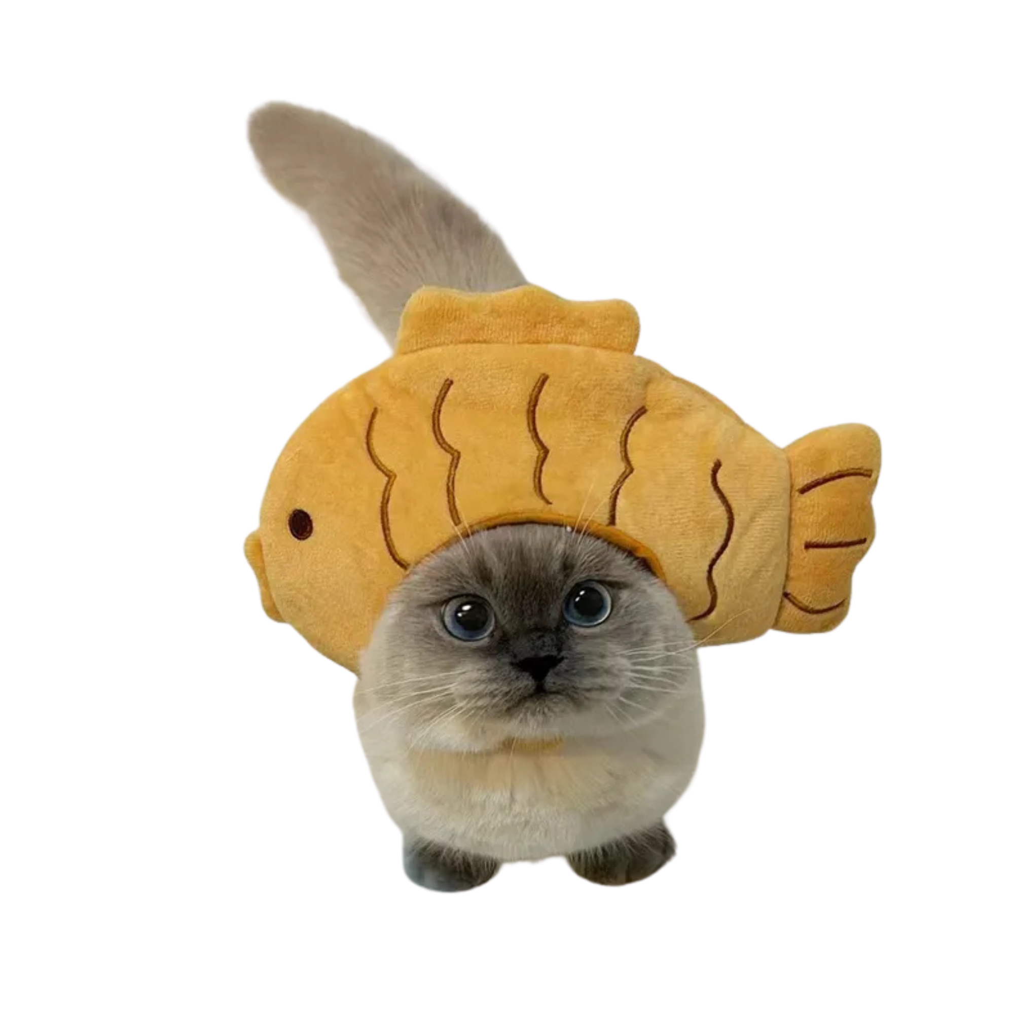 CHAPEAU KAWAII POUR ANIMAUX – Image 2